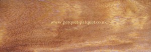 Partridge Wood close-up