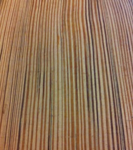 Pitch pine grain close-up